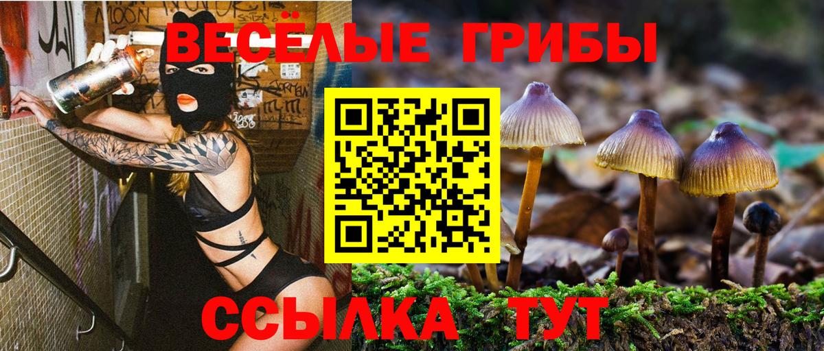 Коркино  Псилоцибиновые грибы мухоморы  Вход с VPN 